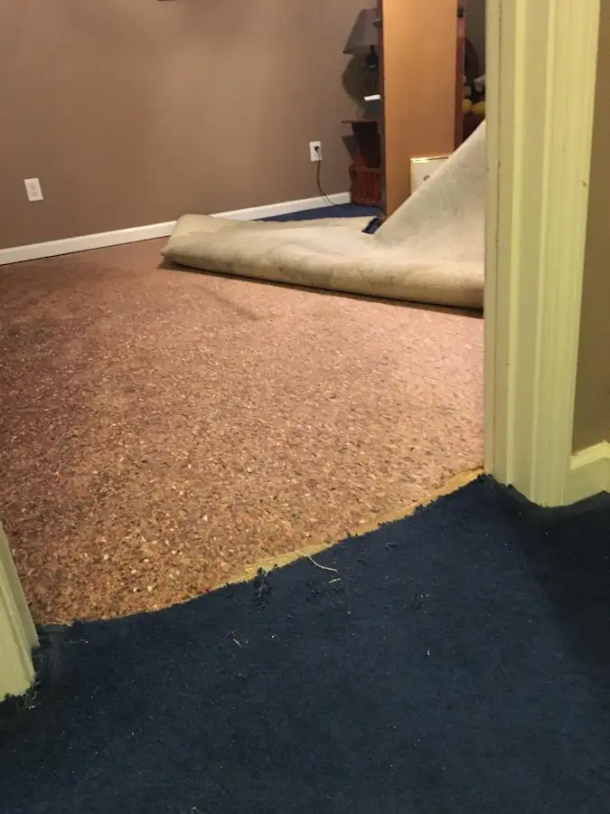 Carpet pad removal revealing water damage during Water Mitigation Services in Ayden