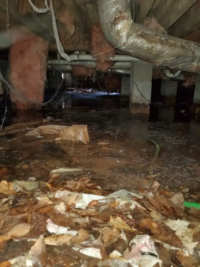 Crawl space flood assessment for Leak Detection & Repair in Ayden